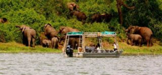 10 Days Classic Uganda wildlife safari