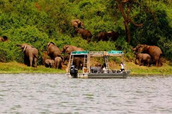 10 Days Classic Uganda wildlife safari