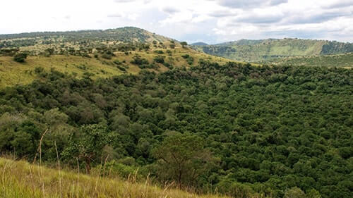 maramagambo forest 