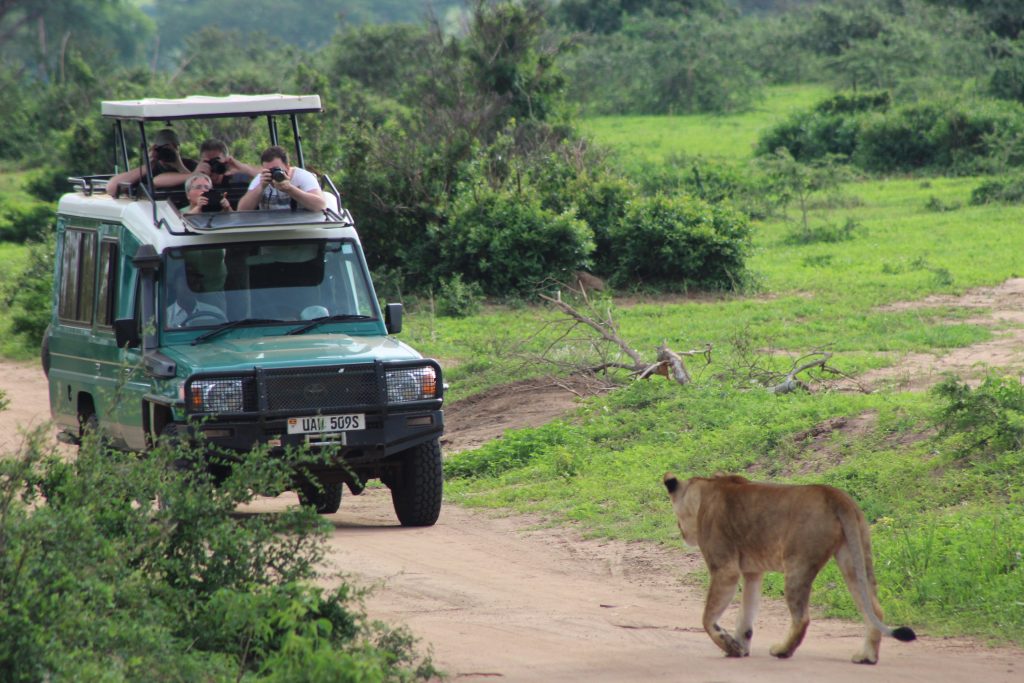 Top 5 things to do in Murchison falls national park