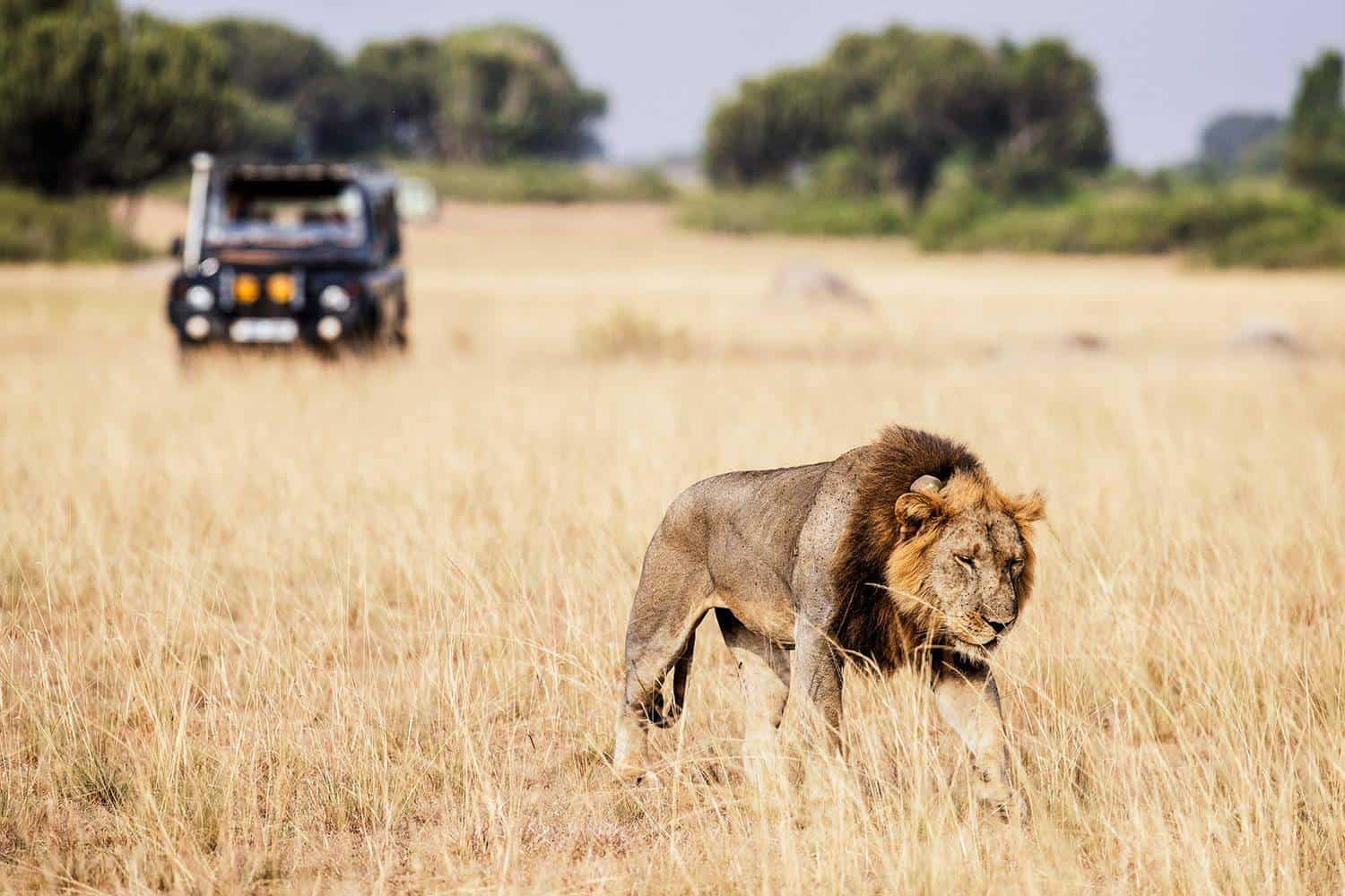 uganda safari park